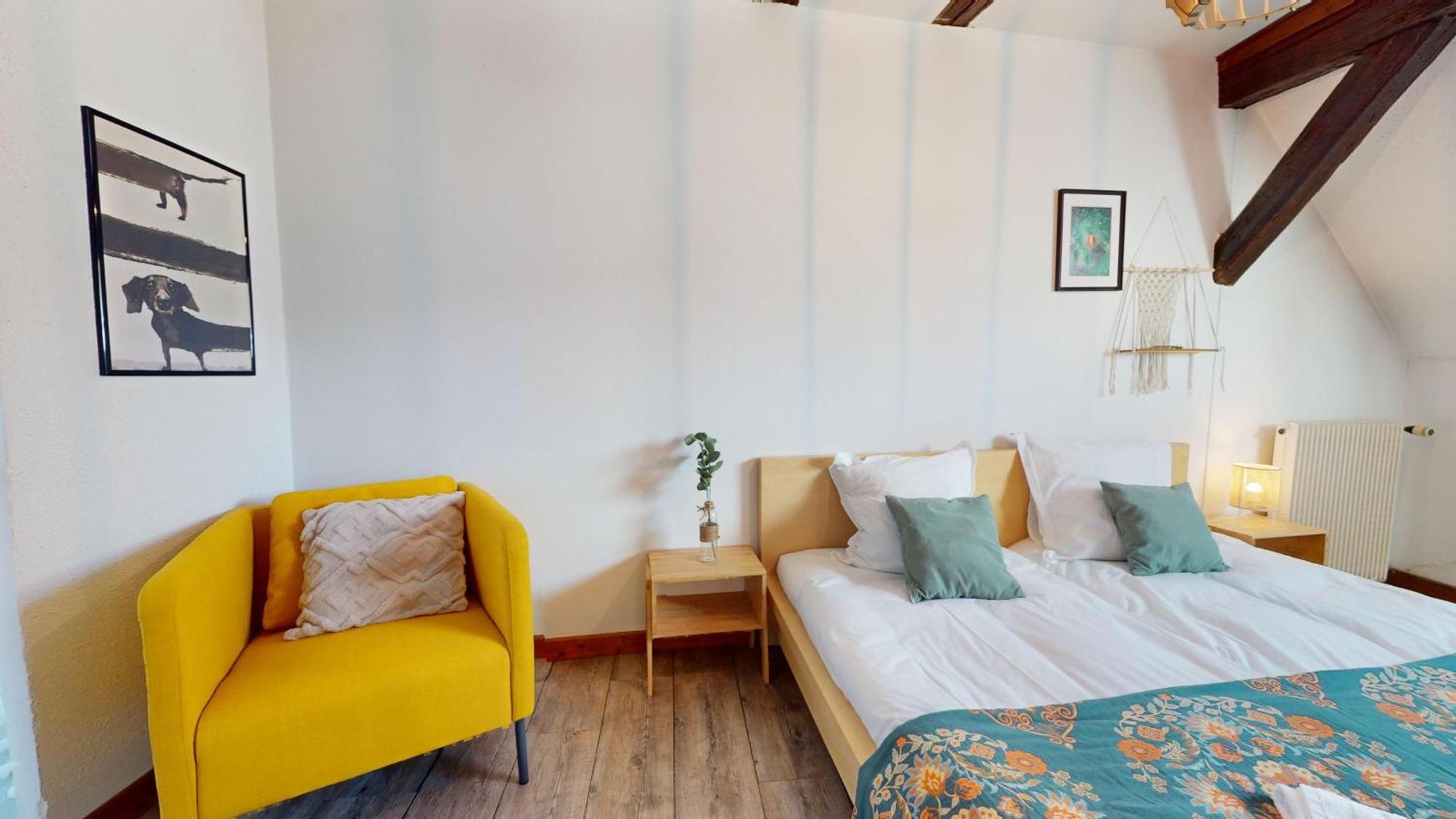 Apartamento Le Petit Chez Vous Colmar Exterior foto