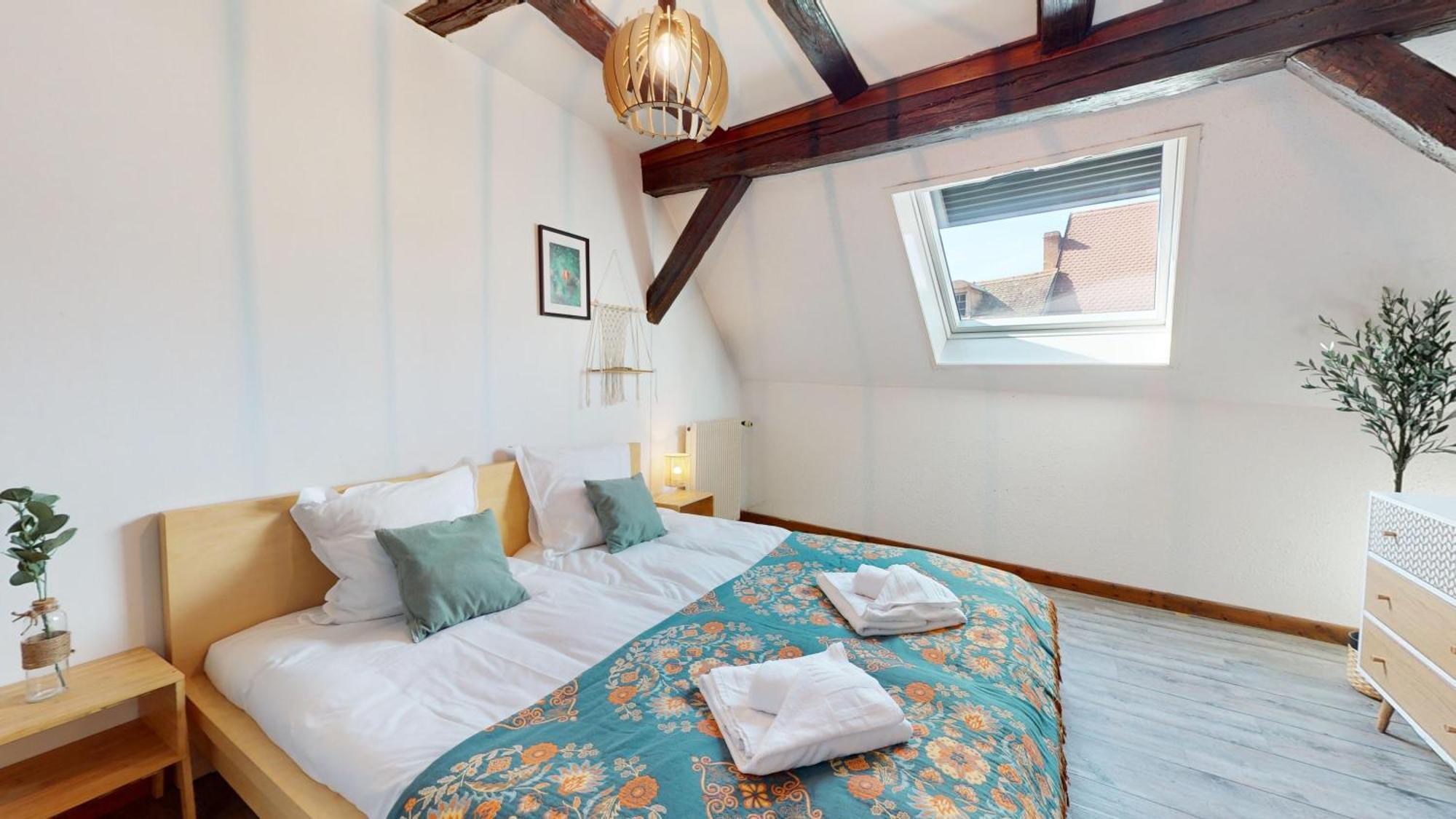 Apartamento Le Petit Chez Vous Colmar Exterior foto