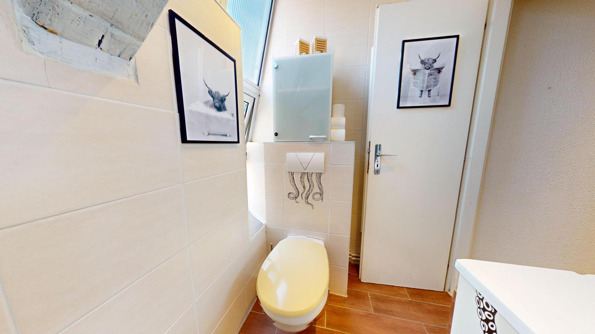 Apartamento Le Petit Chez Vous Colmar Exterior foto